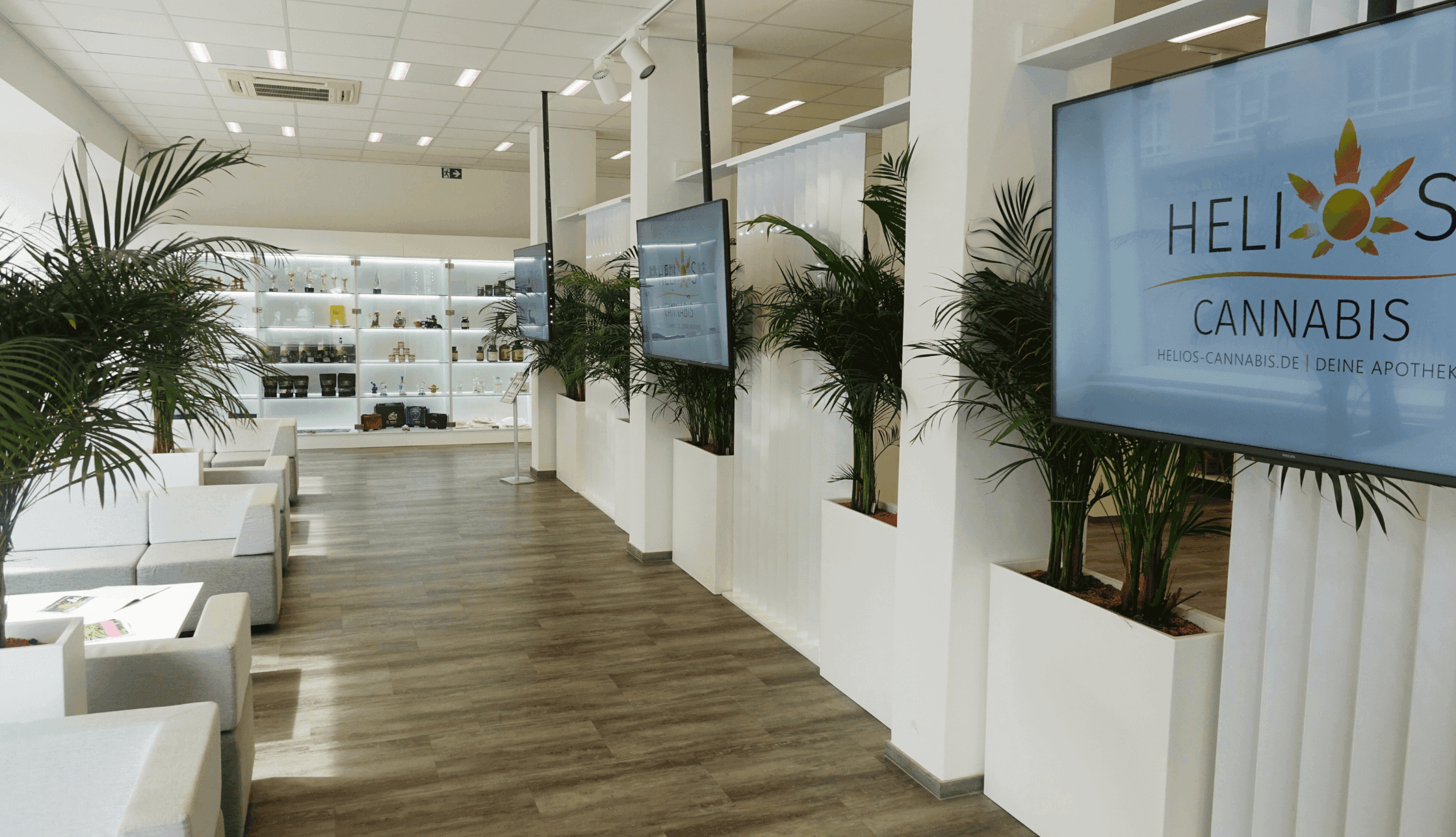 Geschäftsräume der Helios Cannabis – Perspektive 1